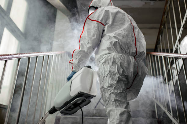 Best Industrial Mold Remediation  in East Quogue, NY